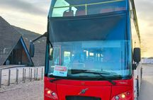 Helsinki Panorama Sightseeing Bus Tour With Audio Guide