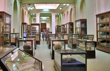 Cairo full-day excursion from Hurghada with an Egyptologist and flights
