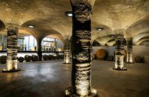 Guided Vineyard Tour and Wine Tasting on Lipari Island