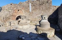 Pompeii and Herculaneum shared tour from Naples