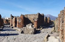 Pompeii and Herculaneum shared tour from Naples