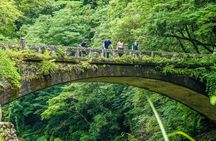 Day Trip from Fukuoka to Takachiho Gorge and Amano Iwato Shrine