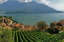 Winery Tour with Wine Tasting at Lake Como