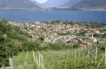 Winery Tour with Wine Tasting at Lake Como