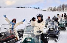 Asahikawa Zoo, Biei, and Ningle Terrace Tour from Hokkaido