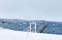 Lake Toya and Noboribetsu Jigokudani Valley Winter Tour from Hokkaido