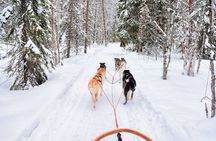 Family Day with Snowmobiles, Arctic Animals and Santa Village