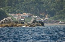 Scenic Boat Tour Along São Miguel's Northern Coast