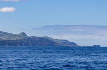 Capelas Coastal Boat Tour