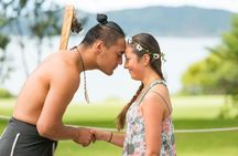 Waitangi Treaty Grounds Experience Pass
