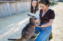 Blue Mountain tour with Scenic World, Waterfalls and Zoo