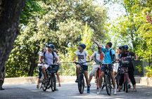 Nice best highlights electric bike tour