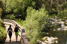 516 Arouca Bridge and Paiva Walkways Day Trip from Porto