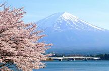 Day Trip to Mount Fuji with Scenic Photo Opportunities from Tokyo