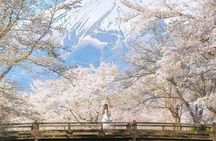 Day Trip to Mount Fuji with Scenic Photo Opportunities from Tokyo