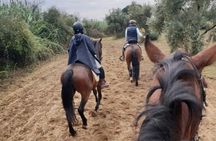 Horseback Riding in Doñana National Park from Seville