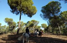 Horseback Riding in Doñana National Park from Seville