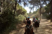 Horseback Riding in Doñana National Park from Seville