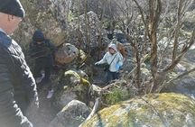 Day Trip from Madrid to Guadarrama National Park
