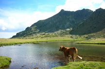 Day Trip from Madrid to Guadarrama National Park