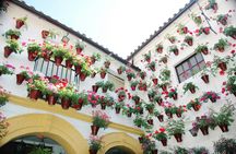 Cordoba Day-trip from Madrid by Train
