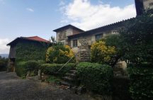 Northern Portugal Day Trip from Porto with Wine Tasting