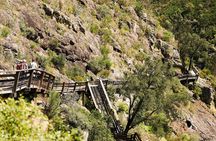 Paiva Walkways full-day tour from Porto