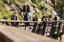 Paiva Walkways full-day tour from Porto