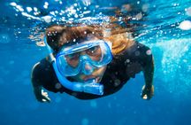 Speedboat Adventure from Can Pastilla with Snorkelling