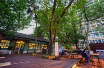 8-hour Customized Taipei City Exploration with Private Car