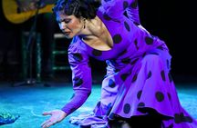 Flamenco Show at Tablao Flamenco Alma