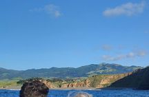 Cintrao Cape Golden Boat Tour
