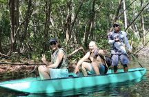 Explore Sisal Attractions and Ojo de Agua La Carbonera