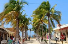 Explore Sisal Attractions and Ojo de Agua La Carbonera