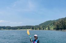 Son Tra Peninsula snorkeling