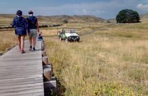 Freita Mountain and Arouca Geopark 4×4 tour with optional meal