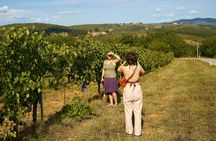 Small-Group Winery Tour and Expert-Led Masterclass from Florence