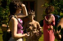 Small-Group Winery Tour and Expert-Led Masterclass from Florence