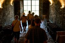 Small-Group Winery Tour and Expert-Led Masterclass from Florence