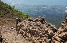 Mount Vesuvius Entry Ticket with Shuttle Service and Audio Guide