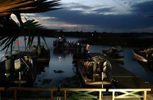 Gator Night 1-Hour Nighttime Airboat Tour at Sawgrass Recreation Park