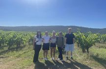 Picpoul de Pinet half-day minibus tour with oyster and wine tasting