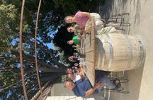 Picpoul de Pinet half-day minibus tour with oyster and wine tasting