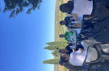 Picpoul de Pinet full-day minibus and walking tour