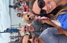 Etang de Thau full-day minibus tour with lunch and tastings
