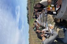 Sable de Camargue full-day minibus tour with lunch and tastings