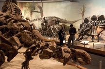 Drumheller and Horseshoe canyon tour from Calgary