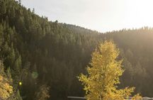 Kootenay National Park full-day tour from Calgary