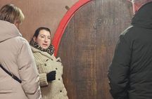 Domaine Fahrer et Fils guided tour with wine tasting