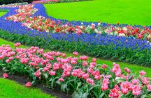 Windmill Cruise and Access to Keukenhof Gardens with Audioguide